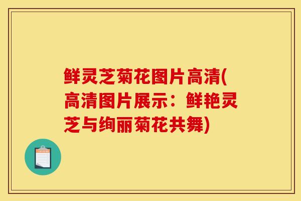 鲜灵芝菊花图片高清(高清图片展示：鲜艳灵芝与绚丽菊花共舞)