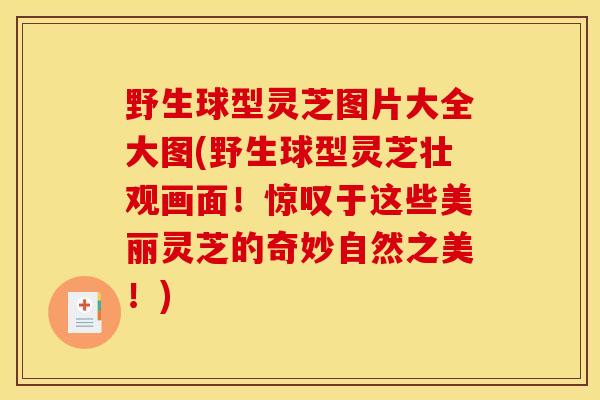 野生球型灵芝图片大全大图(野生球型灵芝壮观画面！惊叹于这些美丽灵芝的奇妙自然之美！)