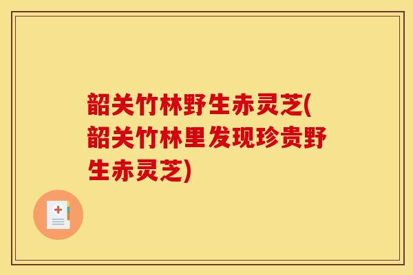 韶关竹林野生赤灵芝(韶关竹林里发现珍贵野生赤灵芝)