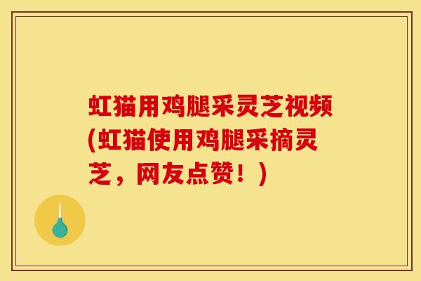 虹猫用鸡腿采灵芝视频(虹猫使用鸡腿采摘灵芝，网友点赞！)