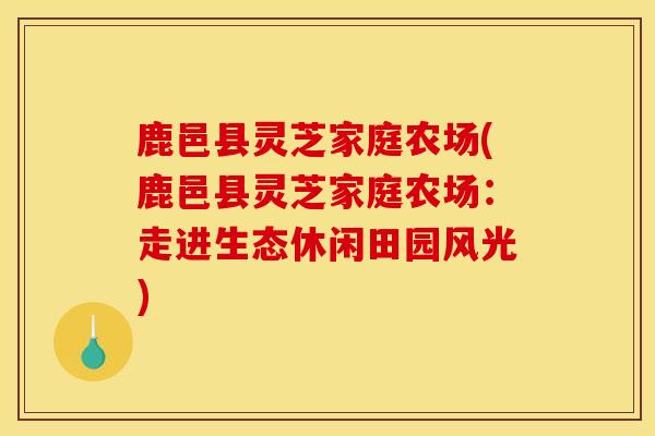 鹿邑县灵芝家庭农场(鹿邑县灵芝家庭农场：走进生态休闲田园风光)