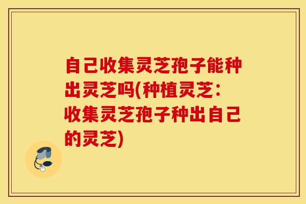 自己收集灵芝孢子能种出灵芝吗(种植灵芝：收集灵芝孢子种出自己的灵芝)
