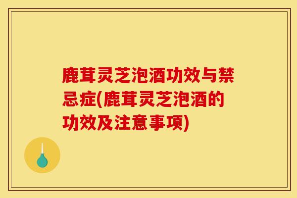 鹿茸灵芝泡酒功效与禁忌症(鹿茸灵芝泡酒的功效及注意事项)