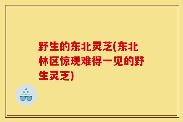 野生的东北灵芝(东北林区惊现难得一见的野生灵芝)