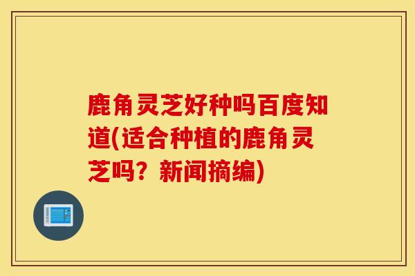 鹿角灵芝好种吗百度知道(适合种植的鹿角灵芝吗？新闻摘编)