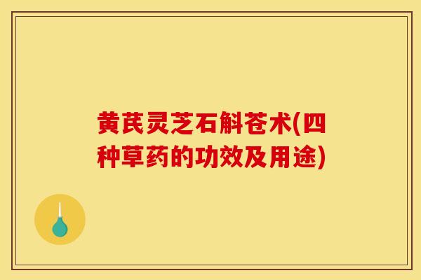 黄芪灵芝石斛苍术(四种草药的功效及用途)