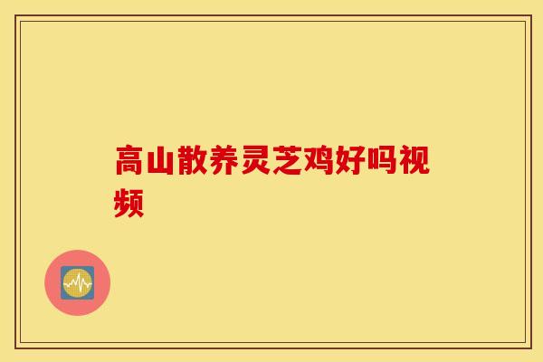高山散养灵芝鸡好吗视频