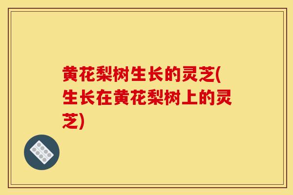 黄花梨树生长的灵芝(生长在黄花梨树上的灵芝)