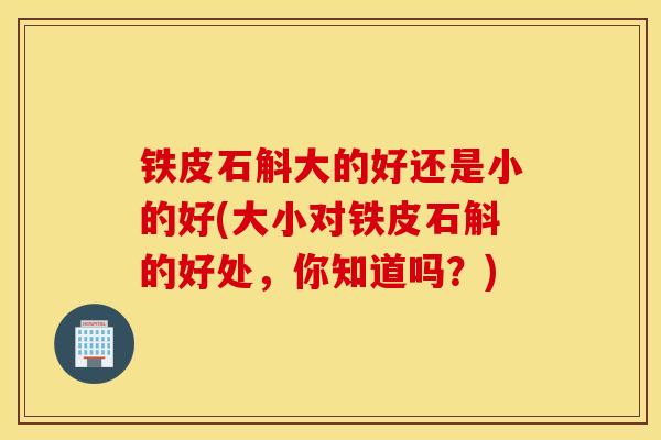 铁皮石斛大的好还是小的好(大小对铁皮石斛的好处，你知道吗？)