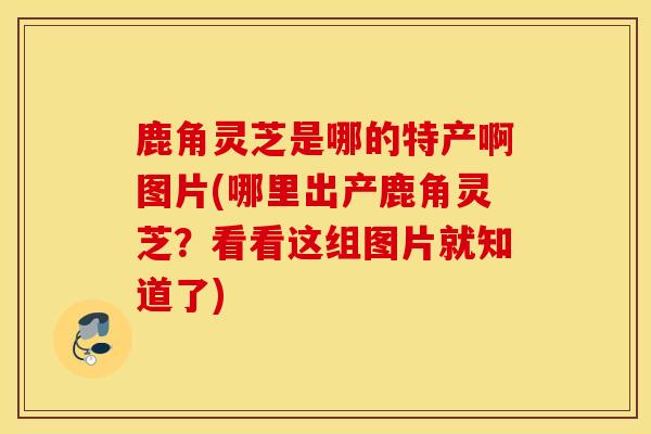 鹿角灵芝是哪的特产啊图片(哪里出产鹿角灵芝？看看这组图片就知道了)