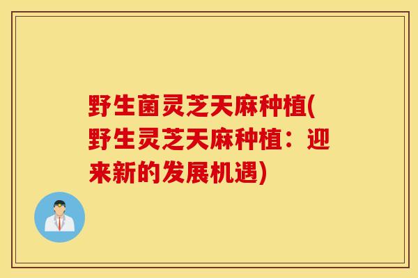 野生菌灵芝天麻种植(野生灵芝天麻种植：迎来新的发展机遇)