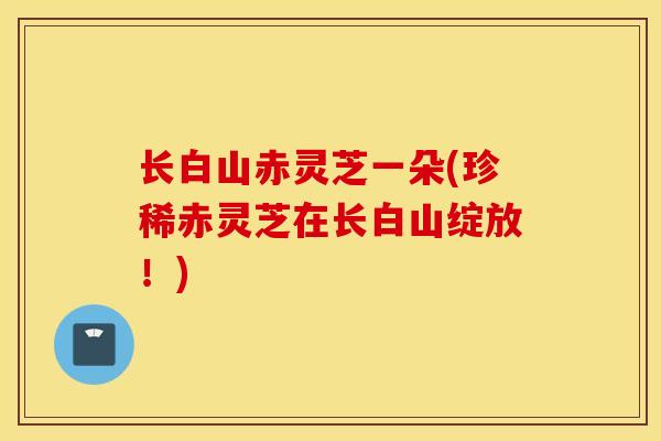 长白山赤灵芝一朵(珍稀赤灵芝在长白山绽放！)