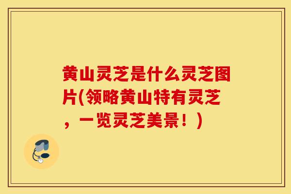 黄山灵芝是什么灵芝图片(领略黄山特有灵芝，一览灵芝美景！)
