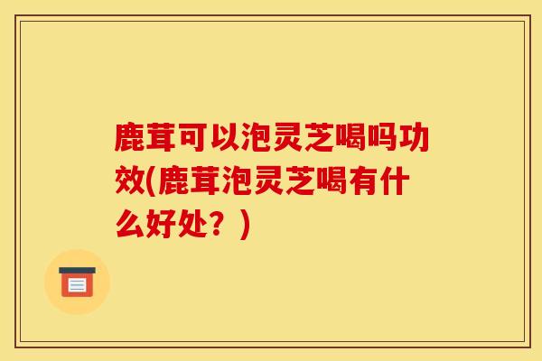 鹿茸可以泡灵芝喝吗功效(鹿茸泡灵芝喝有什么好处？)