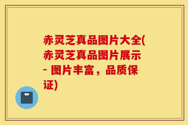赤灵芝真品图片大全(赤灵芝真品图片展示 - 图片丰富，品质保证)