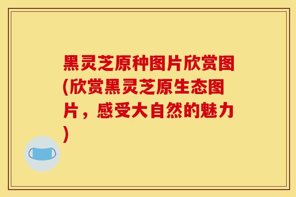 黑灵芝原种图片欣赏图(欣赏黑灵芝原生态图片，感受大自然的魅力)
