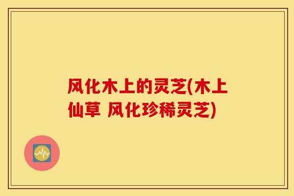 风化木上的灵芝(木上仙草 风化珍稀灵芝)