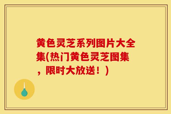 黄色灵芝系列图片大全集(热门黄色灵芝图集，限时大放送！)
