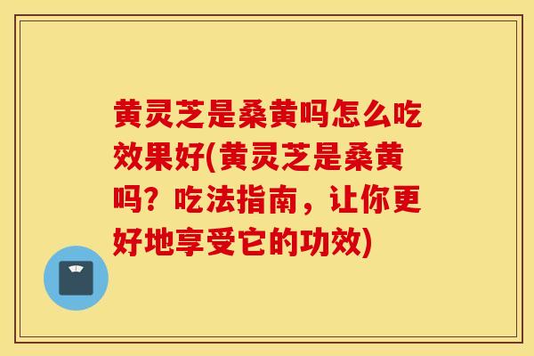 黄灵芝是桑黄吗怎么吃效果好(黄灵芝是桑黄吗？吃法指南，让你更好地享受它的功效)