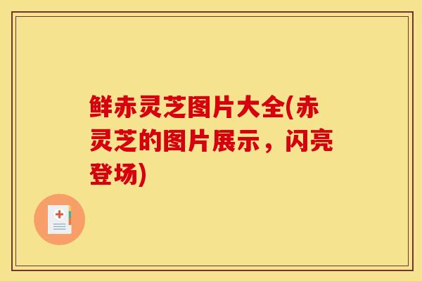 鲜赤灵芝图片大全(赤灵芝的图片展示，闪亮登场)