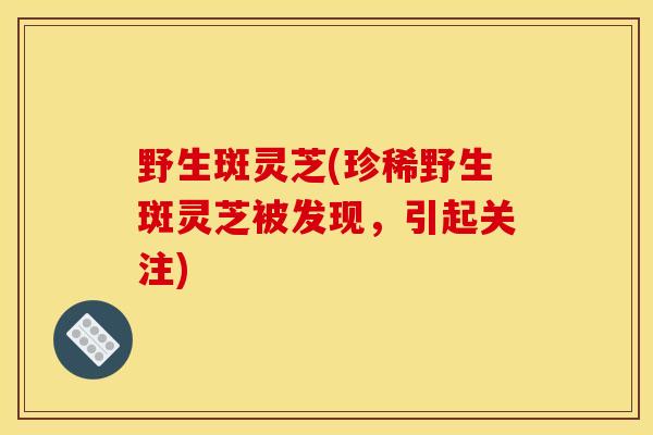 野生斑灵芝(珍稀野生斑灵芝被发现，引起关注)