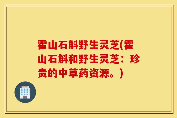 霍山石斛野生灵芝(霍山石斛和野生灵芝：珍贵的中草药资源。)