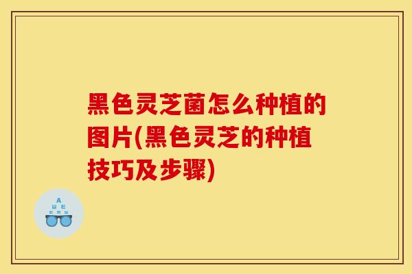 黑色灵芝菌怎么种植的图片(黑色灵芝的种植技巧及步骤)
