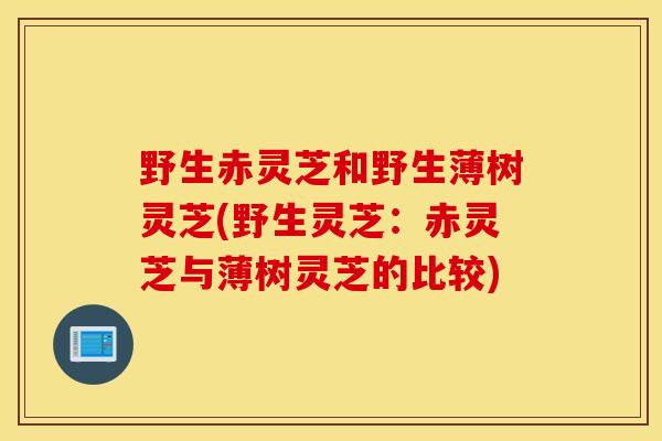 野生赤灵芝和野生薄树灵芝(野生灵芝：赤灵芝与薄树灵芝的比较)