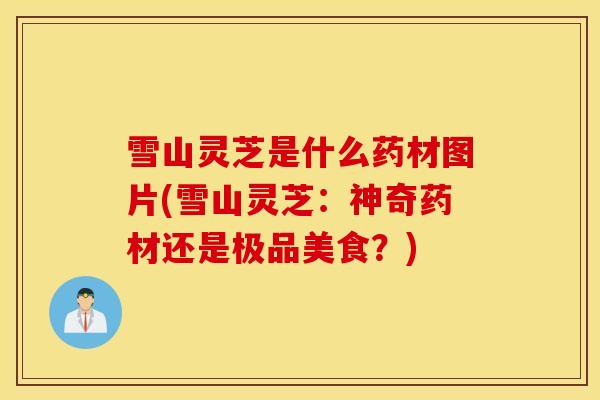 雪山灵芝是什么药材图片(雪山灵芝：神奇药材还是极品美食？)