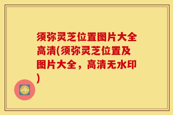 须弥灵芝位置图片大全高清(须弥灵芝位置及图片大全，高清无水印)