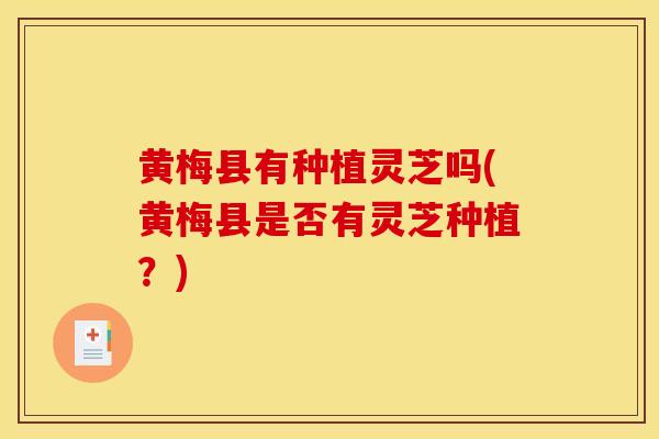 黄梅县有种植灵芝吗(黄梅县是否有灵芝种植？)
