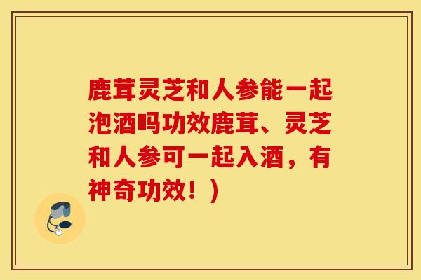 鹿茸灵芝和人参能一起泡酒吗功效鹿茸、灵芝和人参可一起入酒，有神奇功效！)