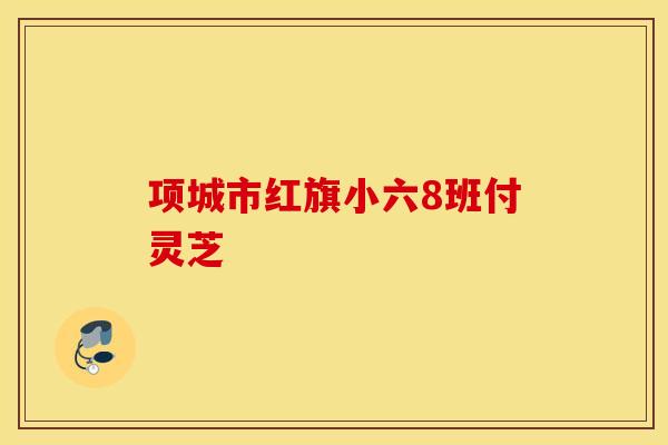 项城市红旗小六8班付灵芝