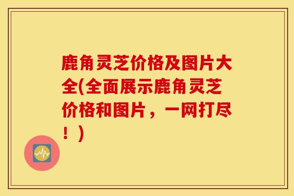 鹿角灵芝价格及图片大全(全面展示鹿角灵芝价格和图片，一网打尽！)