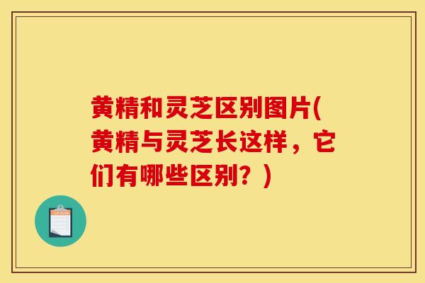 黄精和灵芝区别图片(黄精与灵芝长这样，它们有哪些区别？)
