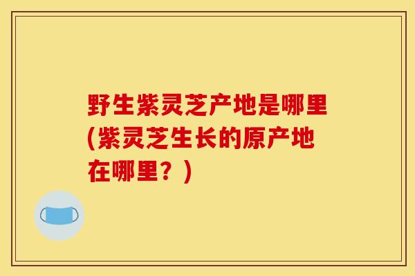 野生紫灵芝产地是哪里(紫灵芝生长的原产地在哪里？)