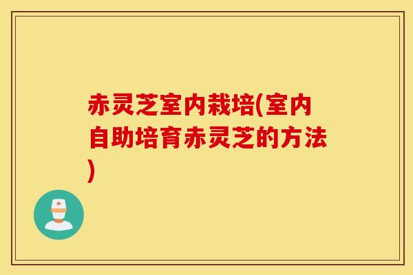 赤灵芝室内栽培(室内自助培育赤灵芝的方法)