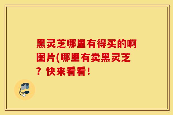 黑灵芝哪里有得买的啊图片(哪里有卖黑灵芝？快来看看！