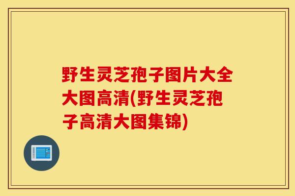 野生灵芝孢子图片大全大图高清(野生灵芝孢子高清大图集锦)