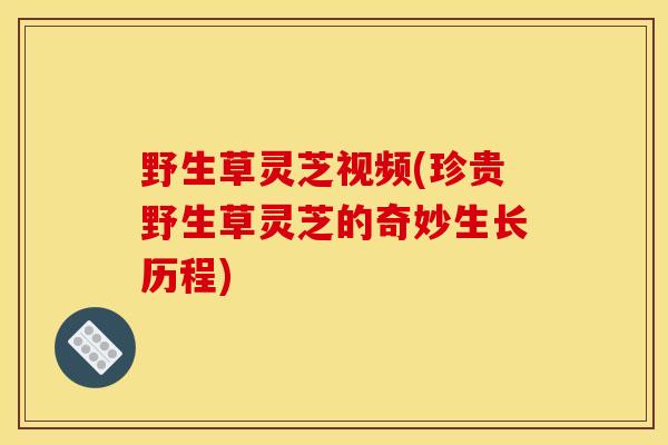 野生草灵芝视频(珍贵野生草灵芝的奇妙生长历程)