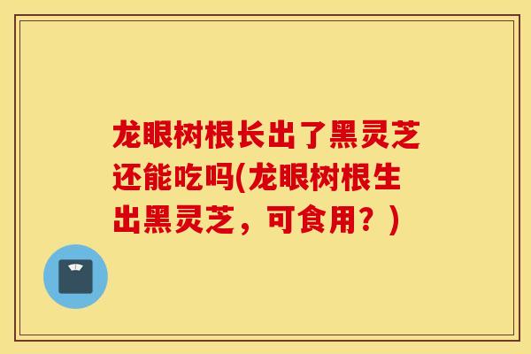 龙眼树根长出了黑灵芝还能吃吗(龙眼树根生出黑灵芝，可食用？)