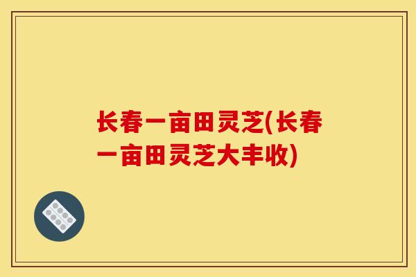 长春一亩田灵芝(长春一亩田灵芝大丰收)