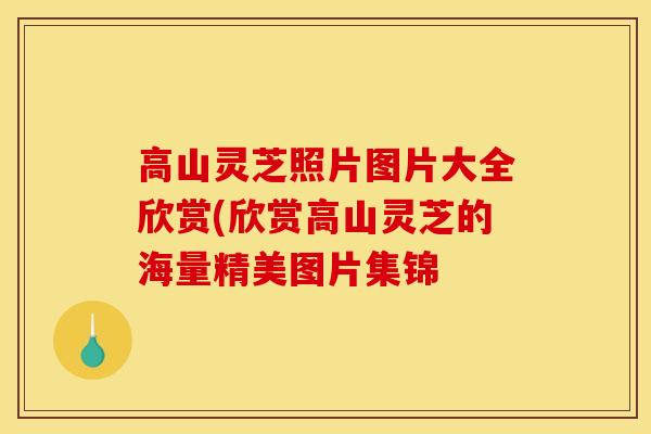 高山灵芝照片图片大全欣赏(欣赏高山灵芝的海量精美图片集锦