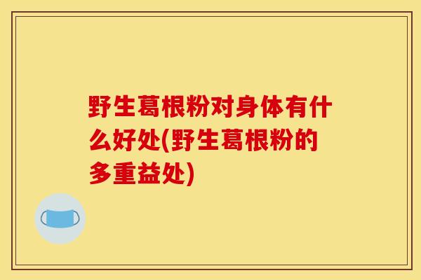 野生葛根粉对身体有什么好处(野生葛根粉的多重益处)