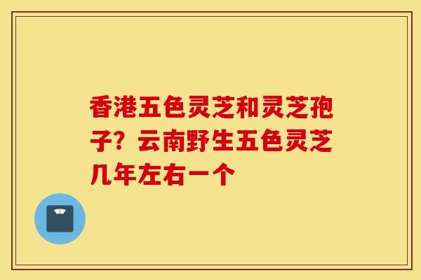 香港五色灵芝和灵芝孢子？云南野生五色灵芝几年左右一个