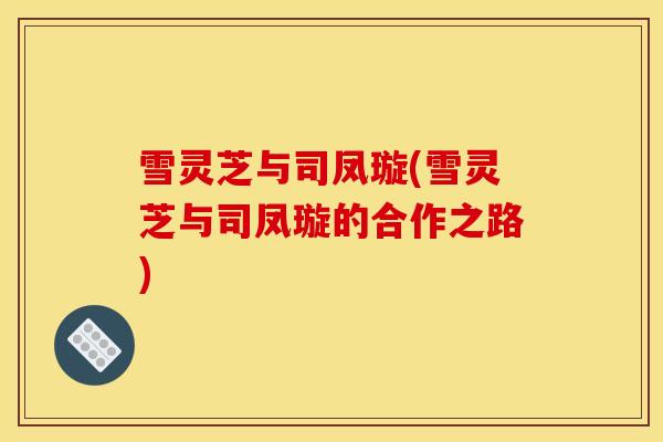 雪灵芝与司凤璇(雪灵芝与司凤璇的合作之路)