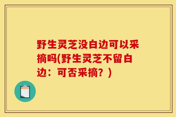 野生灵芝没白边可以采摘吗(野生灵芝不留白边：可否采摘？)
