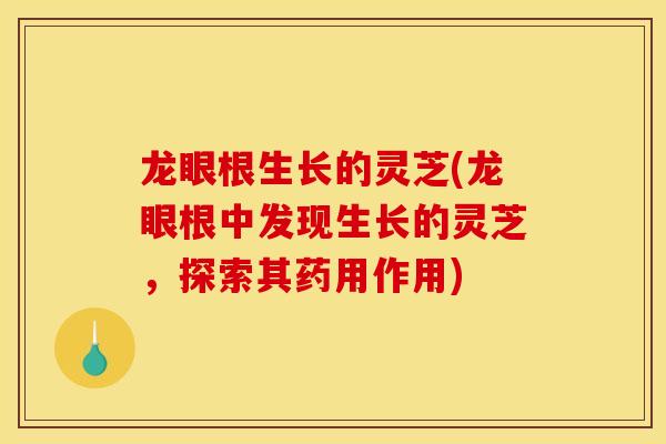 龙眼根生长的灵芝(龙眼根中发现生长的灵芝，探索其药用作用)
