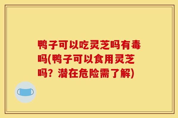 鸭子可以吃灵芝吗有毒吗(鸭子可以食用灵芝吗？潜在危险需了解)