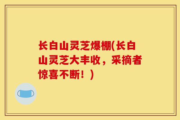 长白山灵芝爆棚(长白山灵芝大丰收，采摘者惊喜不断！)